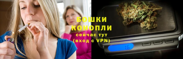 крисы Козельск