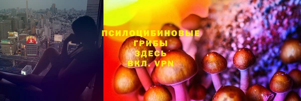 трава Абаза