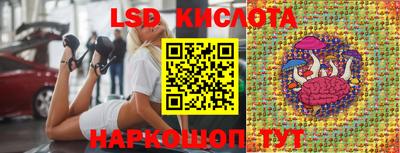 стафф Славгород