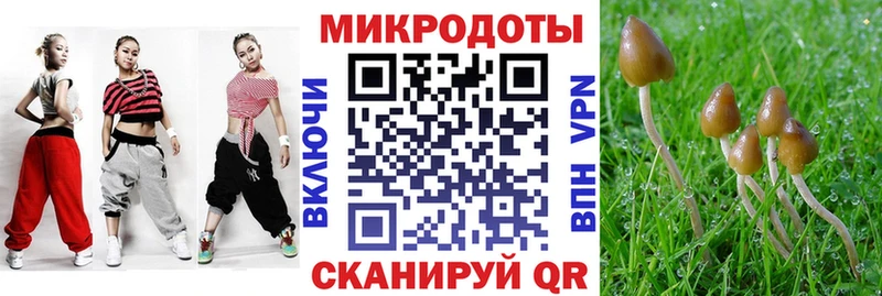 Псилоцибиновые грибы мицелий  Химки 