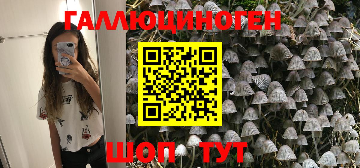 Химки  Галлюциногенные грибы MAGIC MUSHROOMS  Вход с VPN 
