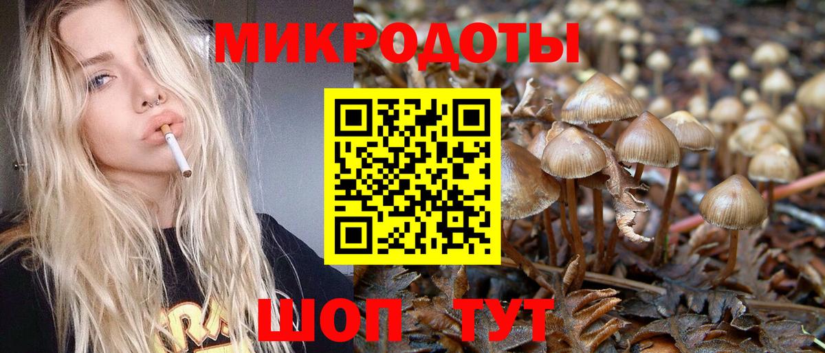 Псилоцибиновые грибы Magic Shrooms Химки
