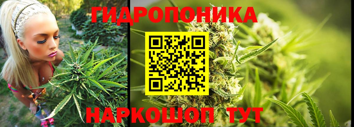 МАРИХУАНА план Химки